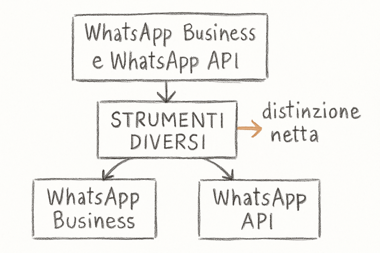 Schema concettuale che illustra la differenza tra WhatsApp Business e API per il whatsapp marketing delle PMI italiane