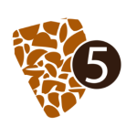 macchia punto 5